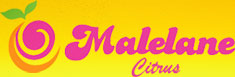 Malelane Citrus